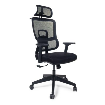 Ergo Yönetici Koltuğu | Ofis Koltuğu