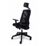 Bella Yönetici Koltuğu | Fileli Ergonomik Ofis Koltuğu - Görsel 5