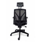 Bella Yönetici Koltuğu | Fileli Ergonomik Ofis Koltuğu - Görsel 6